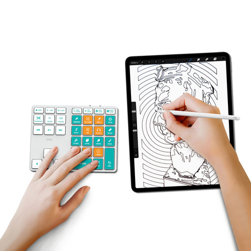 JCPal ProGuide Procreate Controller